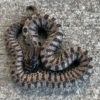 Super Artic Western Hognose Snake